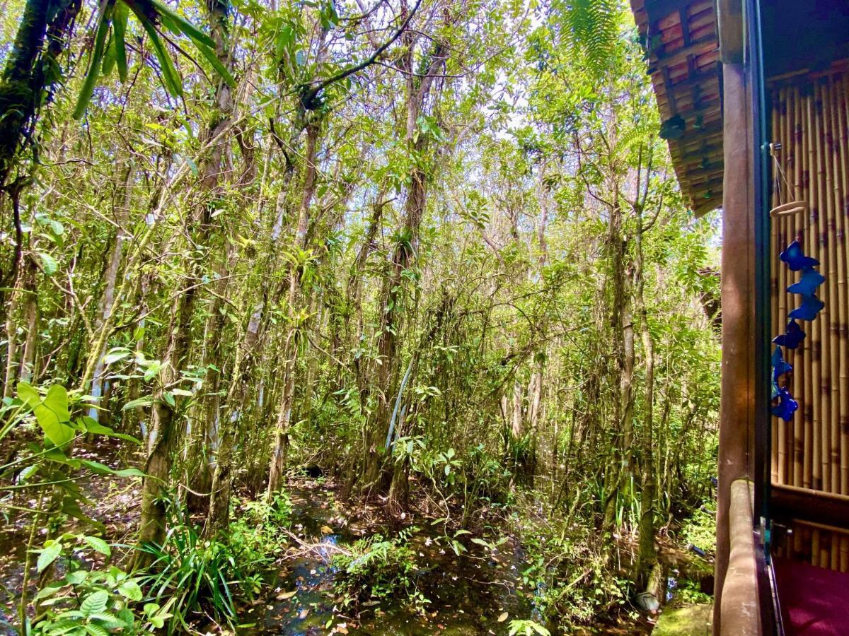 Maresias, Chalé H29 em condomínio de frente a Entrada 18 da praia e dentro da Mata Atlântica São Sebastião Exterior foto